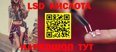 гидра Камышлов