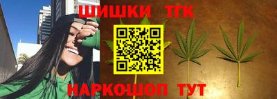 гидра Камышлов