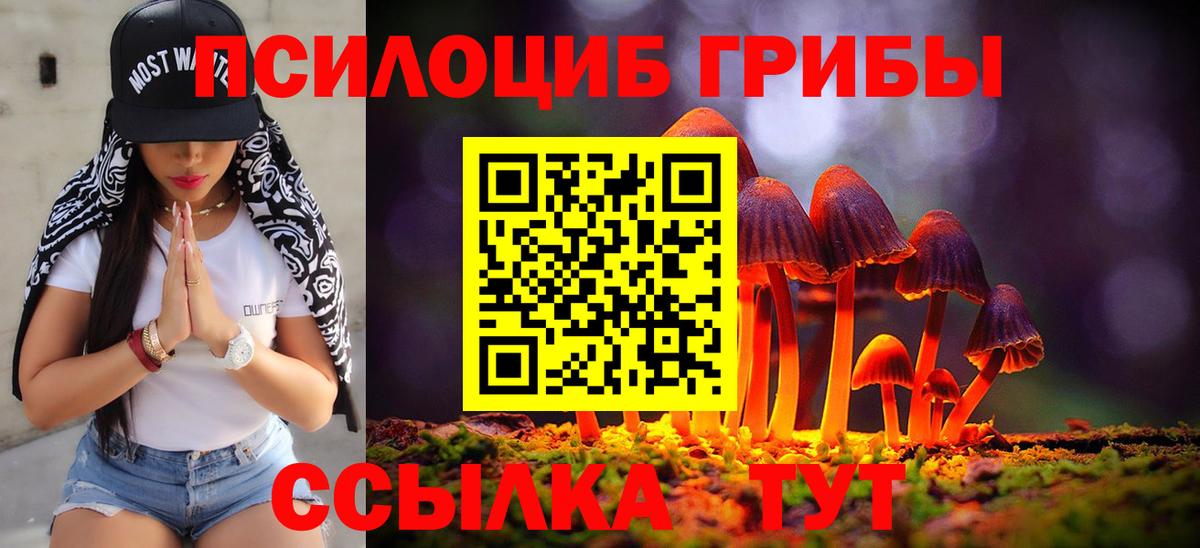 Галлюциногенные грибы мицелий  как найти   Коммунар  Вход с VPN  Псилоцибиновые грибы Magic Shrooms 